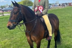 Talia-Davies-and-Cuffnells-golden-rod