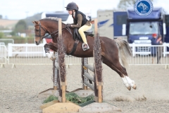 Elizabeth-Rooke-and-Llanai-Renaissance