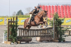 Elizabeth-Rooke-Horse_Pony-Llanai-Renaissance