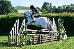 Guy-Hamilton-Horse_Pony-Greigiau-Spring-Iceman