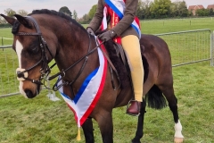 Nancy-smith-Horse_Pony-Menai-chanter-