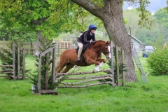 Poppy-Cullum-Horse_Pony-Rhoswen-Jimmy