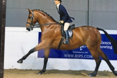 Helen Cowley and Dragons Den