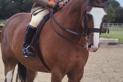 Jayne Pimbley and Papavers Romeo