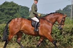 Helen Cowley and Dragons Den