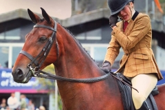 Cliftons Only Just and Sophie Brewster