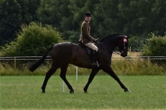 Peter Hodgkinson Horse:Pony Raconteur