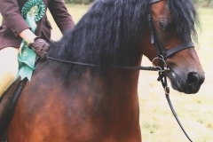 Bill reeves and vean nightingale