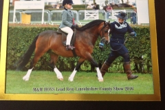 Gavina Semonella and Linda Card