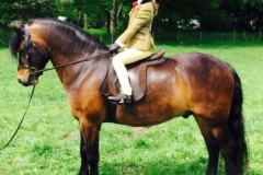 Huckworthy Kestrel and Florrie Duncalf