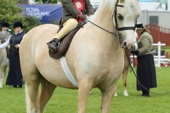 Woodend Marigold and Lola Carabine