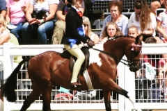 Isabella-Sharifi-and-Brookfarm-Davinci