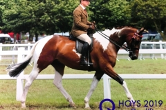 Kieran-Baslington-and-Langaller-Tarrak