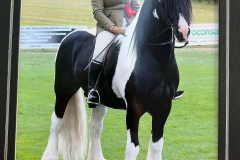 Kayleigh-Catton-and-Horsmans-Landlord