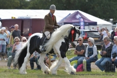 David-Bennett-and-Stanray-Xrated