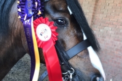 Lucie Gordon Burgess Hand Burghwallis Razamatazz