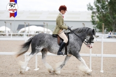 Aiden-Oakman-and-Bree