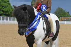 Alexia-Lilley-and-Briar-Puzzle