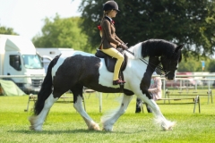 Poppy-Gresty-and-Catdol-Daisy-May