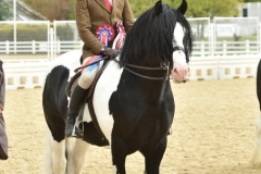 David-Bennett-and-Carn-Nicholas-Tom