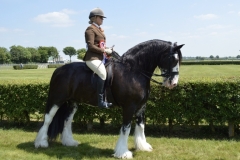 Hope-fisher-and-The-Wolf