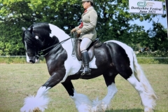 Kayleigh-Catton-and-Horsmans-Landlord