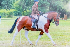 Sian-Warman-and-Colour-Screen