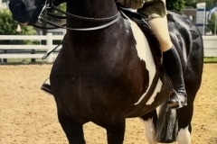 Jemma-Taylor-and-Keyhouse-Paddy-Power