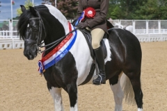 Laila-Gaskin-and-Supernova