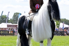 Sian-warman-Horse_Pony-Stanray-Xrated