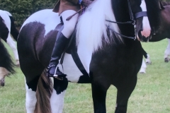 David Bennett and Greateaves Mysterious Girl