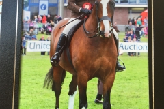 Sian Warman-Randall and Diesel V