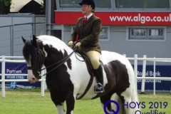 Louise-Shepherd-and-No-Shenanigans