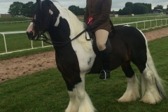 Ben Hester and Beau Diddley