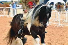 Daniel Kinson and Off Shot