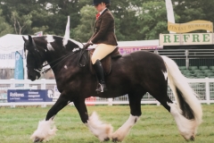 Michelle Pickford and Stardust II