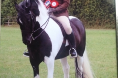 Victoria Brooks Horse:Pony Let's Dance