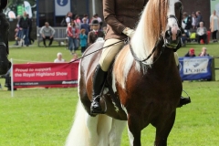 Victoria Brooks and Woody 111