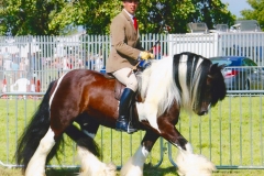 Daniel Kinson and Off Shot