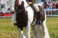 Hannah Miller- Burton and Colour me bad