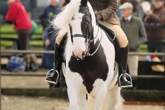 The Muffin Man and Felicity Sarah Taylor‎