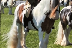 Emma Jayne Scott and Rodney Trotter III