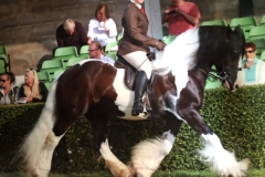 Emma Jayne Scott and The Real Deal