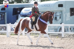 Sophia-chambers-and-Bombay-Regal-Heir