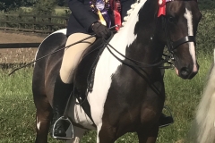 Victoria Brooks Horse:Pony Tarnbrook Take It All