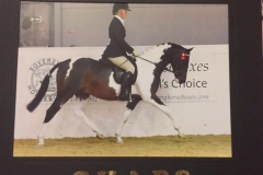 Victoria Brooks Horse:Pony Tarnbrook Take It All