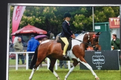 Molly Walsh and Bryntegllwynau Orchid