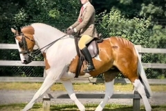 Jasmine-Radford-and-Jagged-lace