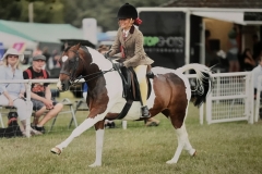 Bluebell-Beechey-and-Kellythorps-yabba-dabba-do