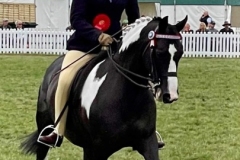 Megan-Champney-and-Penrock-Perfect-Puzzle